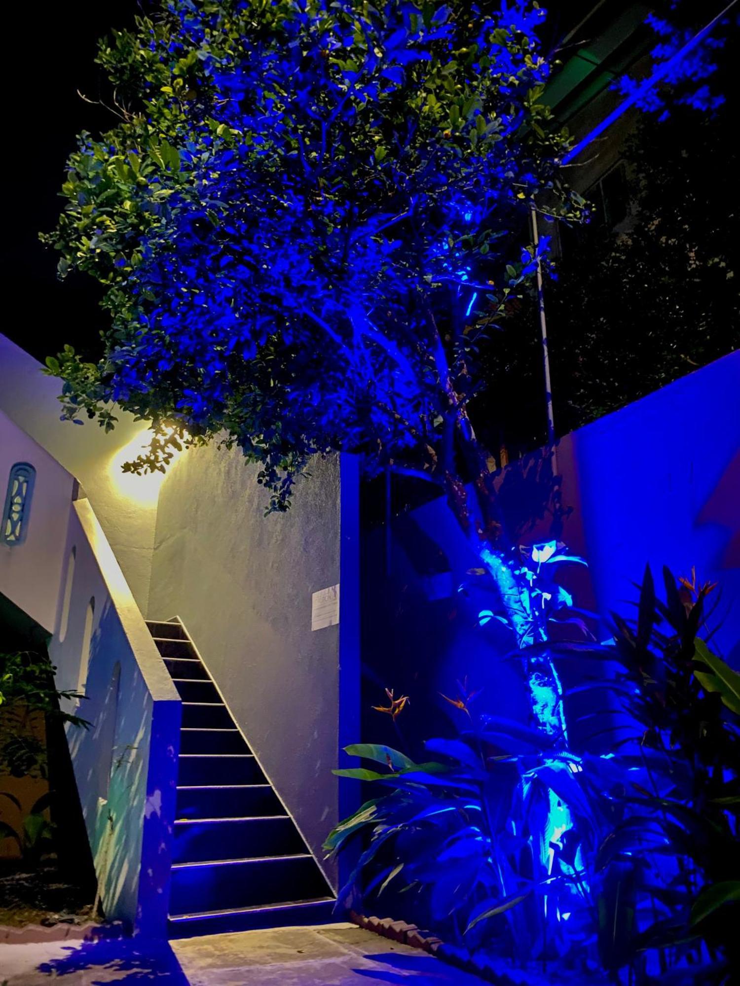 タマラ モーテルズ ヒッカドゥワ エクステリア 写真