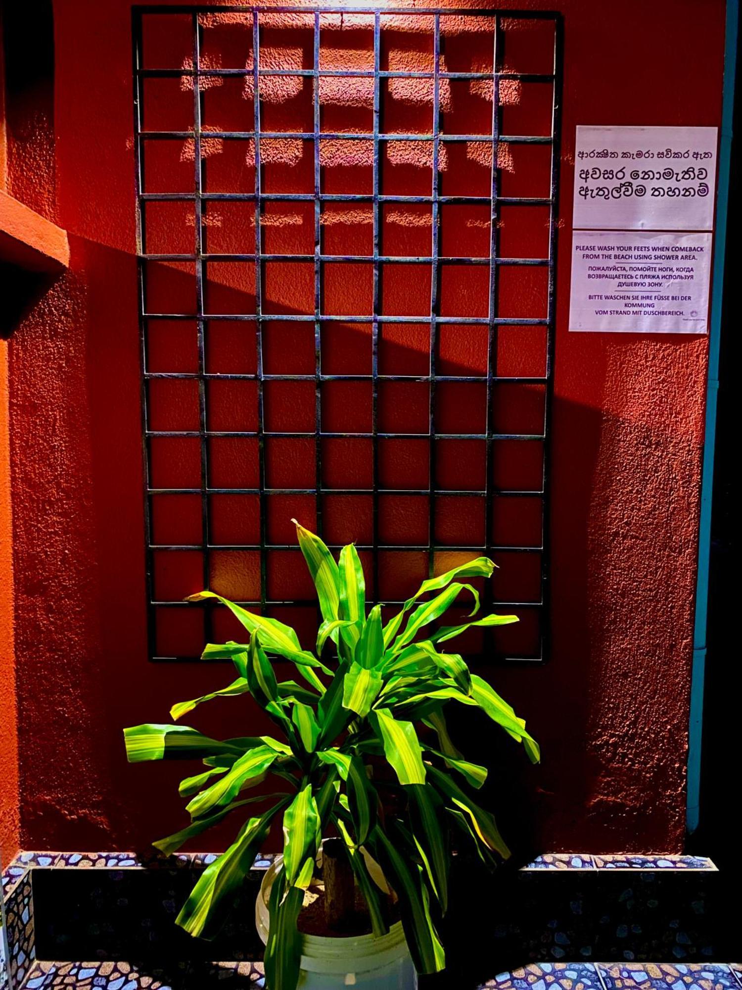 タマラ モーテルズ ヒッカドゥワ エクステリア 写真