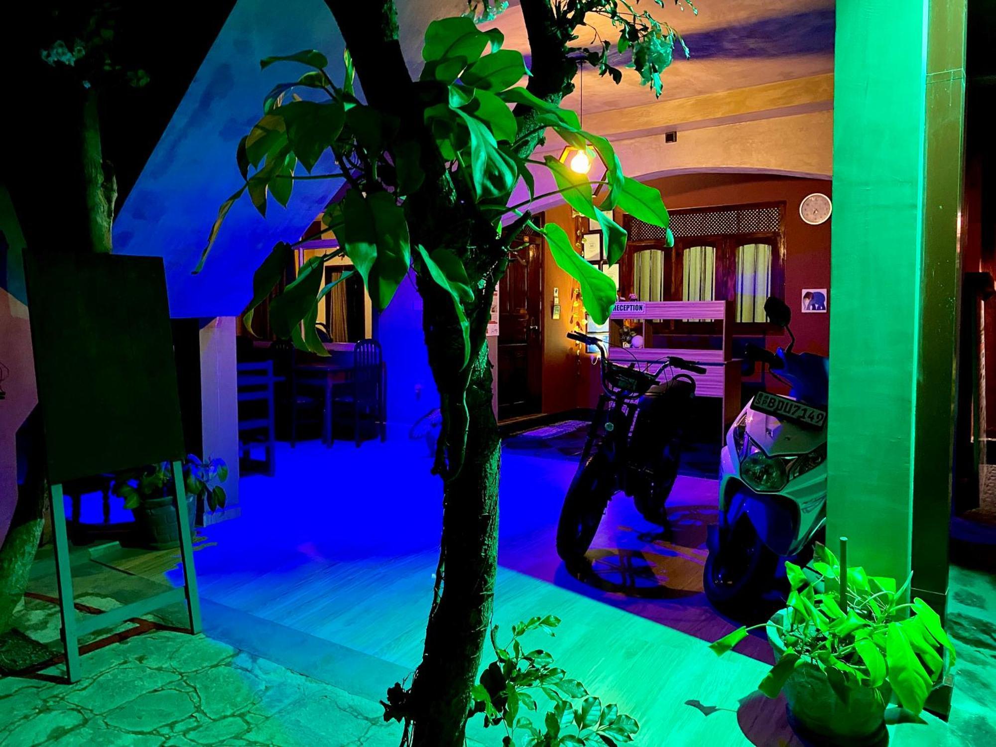 タマラ モーテルズ ヒッカドゥワ エクステリア 写真